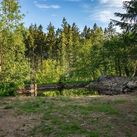 Novy RychnovArktik Lesni Mlyn公寓 外观 照片