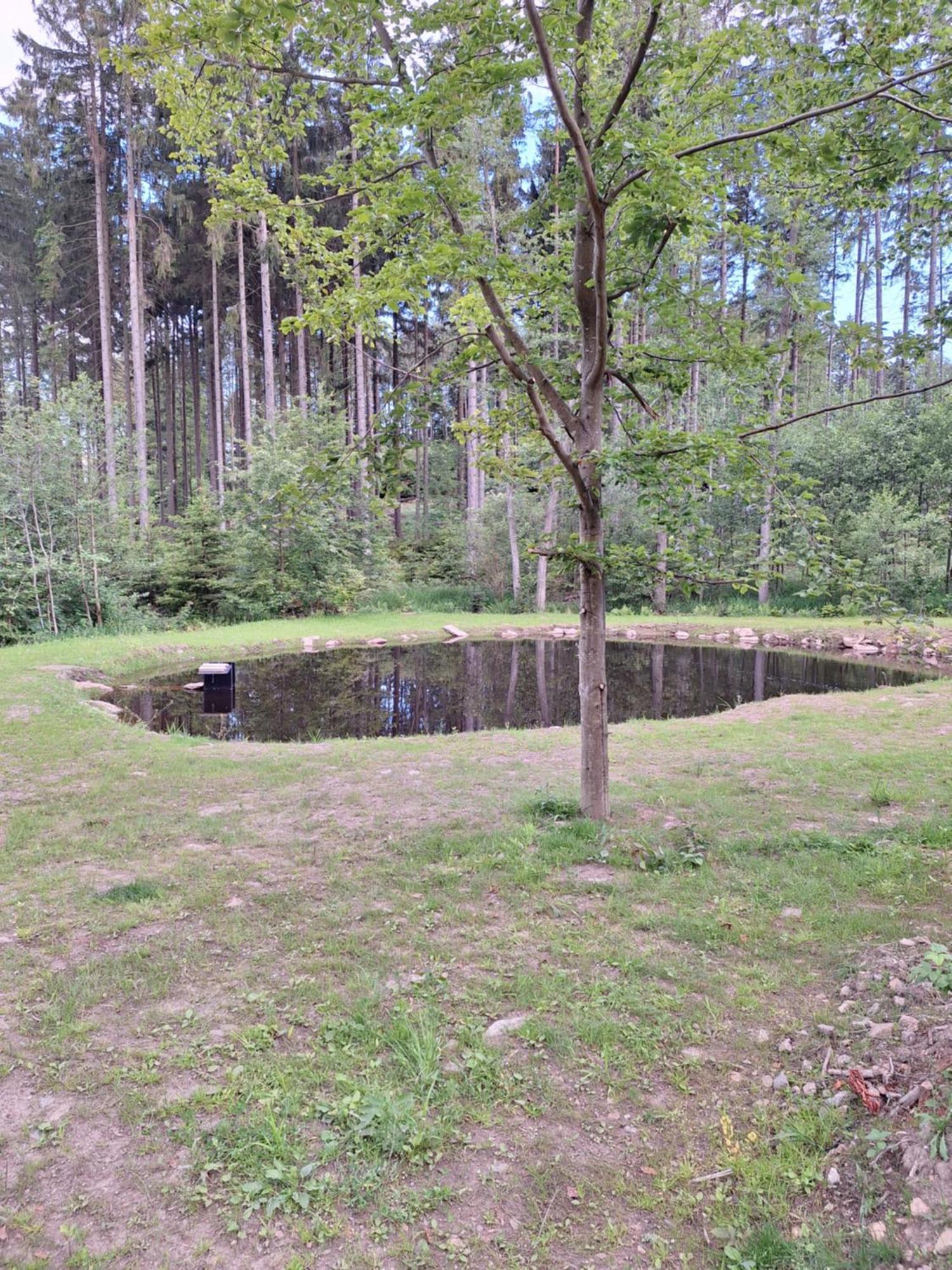 Novy RychnovArktik Lesni Mlyn公寓 外观 照片