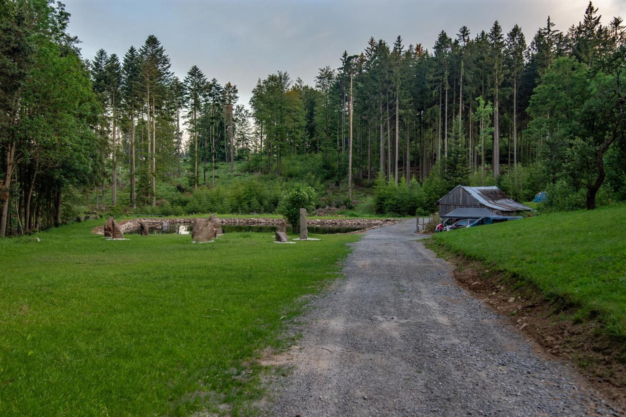 Novy RychnovArktik Lesni Mlyn公寓 外观 照片