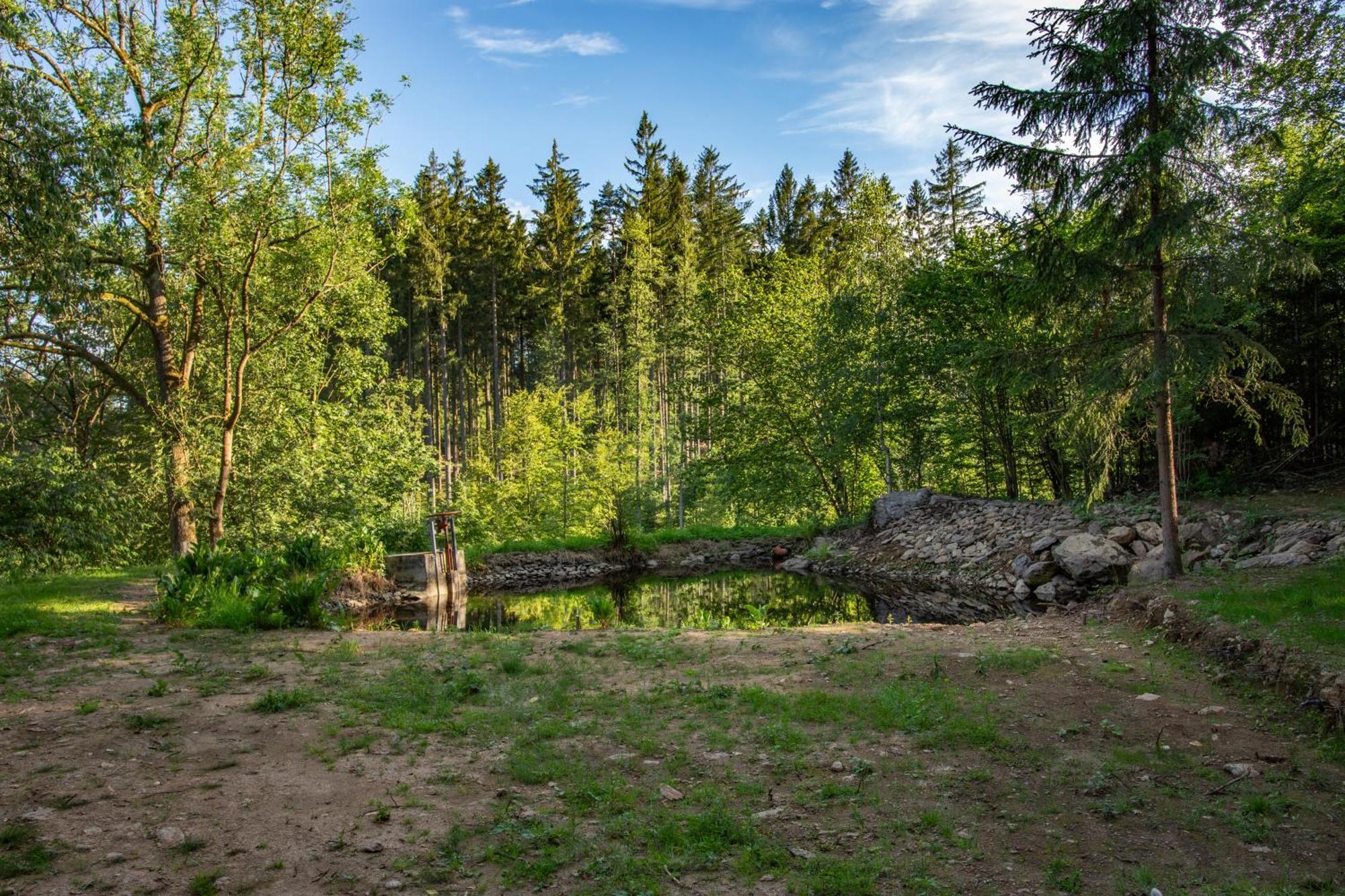 Novy RychnovArktik Lesni Mlyn公寓 外观 照片
